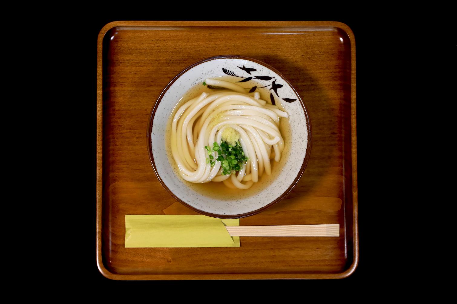 Sanuki Udon Noodles-0