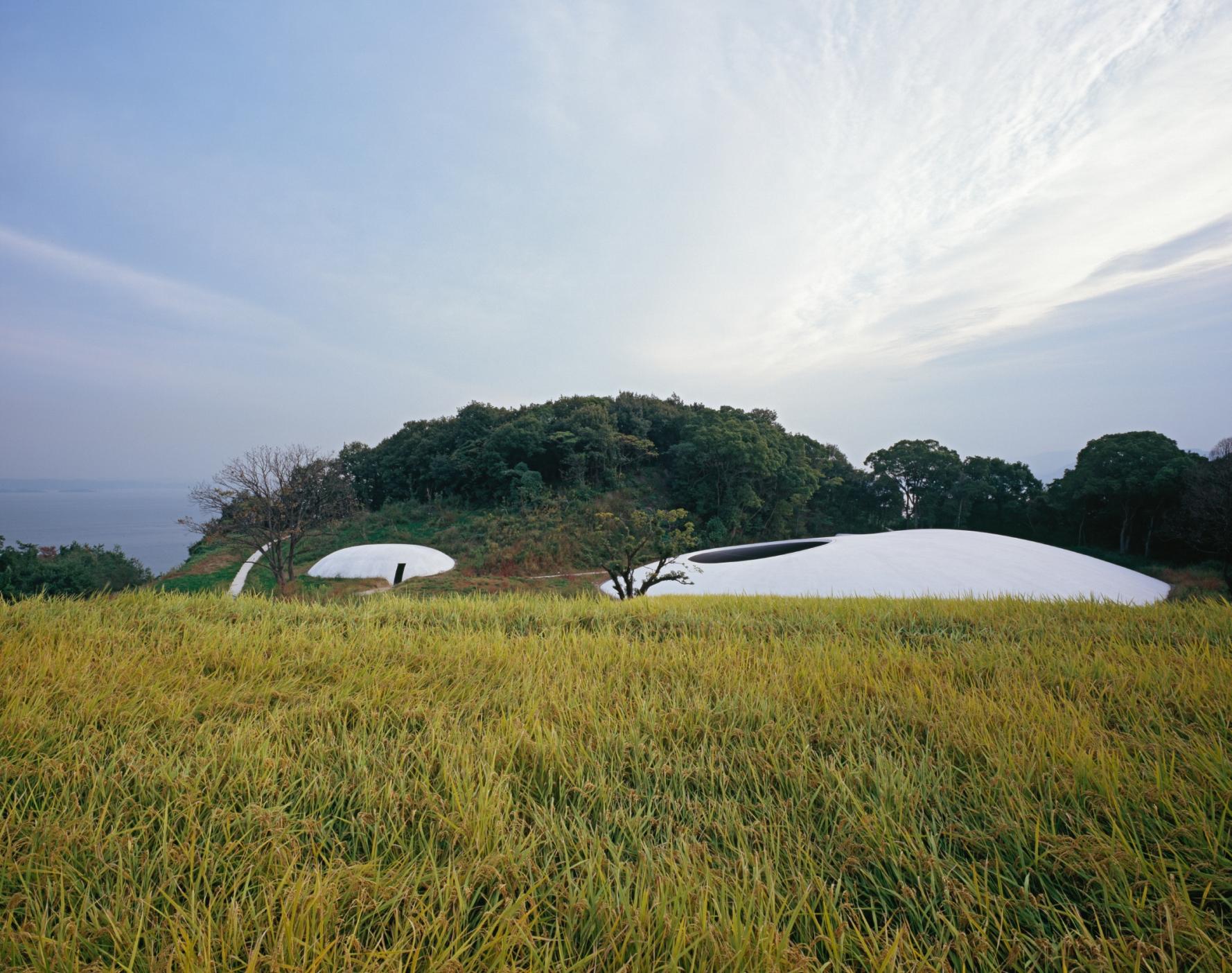 Teshima: Heartbeats in the Midst of Nature-0