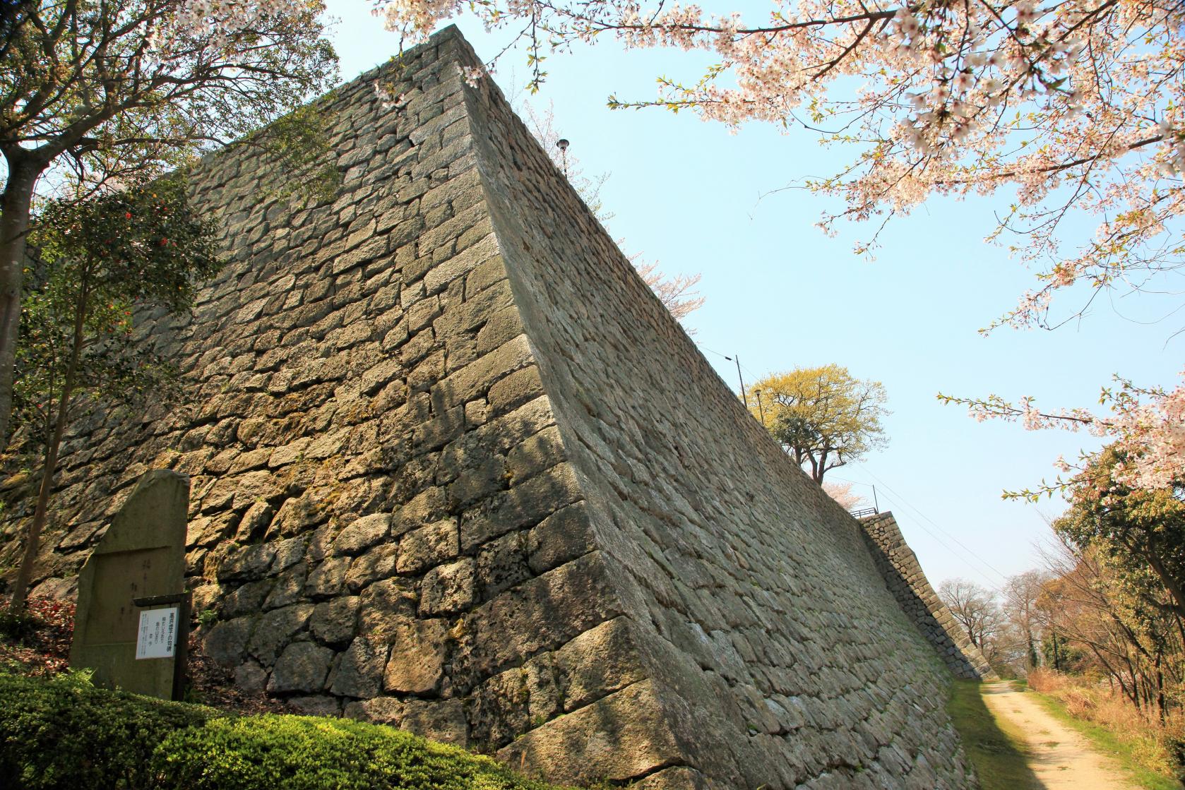 Marugame Castle-2