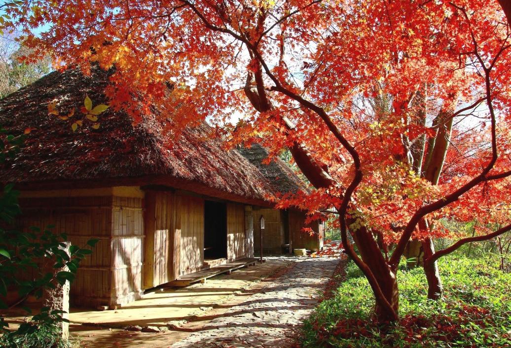 Shikoku Mura (Shikoku Folk House Museum) See ＆ Do VISIT KAGAWA