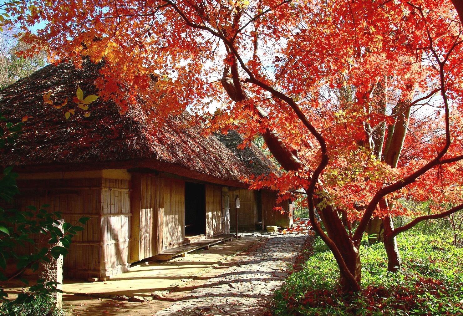 Shikoku Mura (Shikoku Folk House Museum)-2