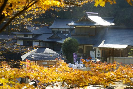 Shikoku Henro Pilgrimage-2