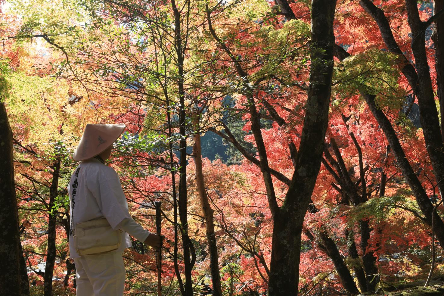 Shikoku Henro Pilgrimage See ＆ Do Visit Kagawa