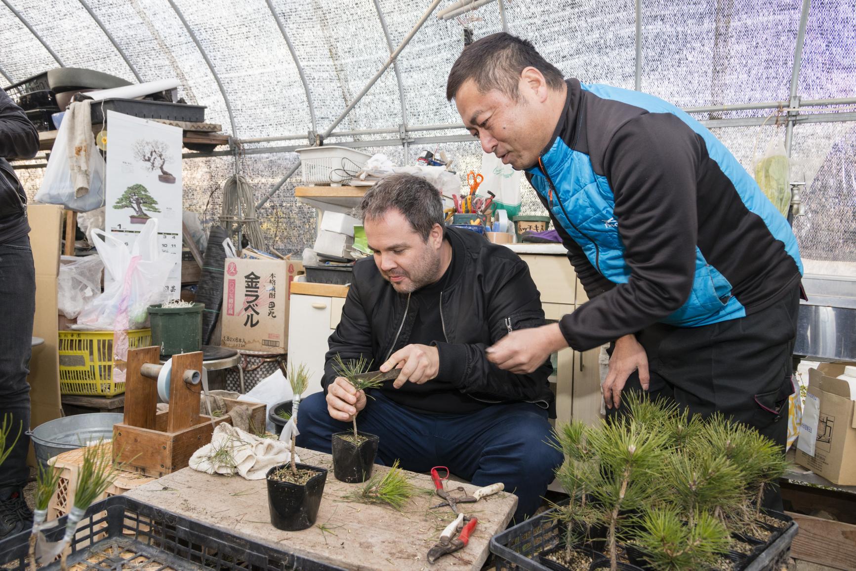 在日本第一的盆栽產地，直接向盆栽職人學習盆栽栽植體驗-1
